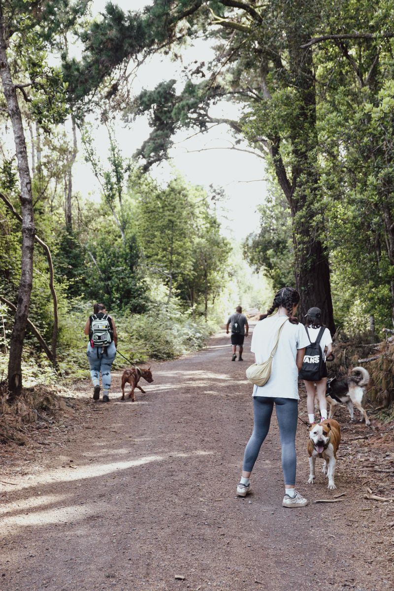 Voluntario de ADEPAC 1