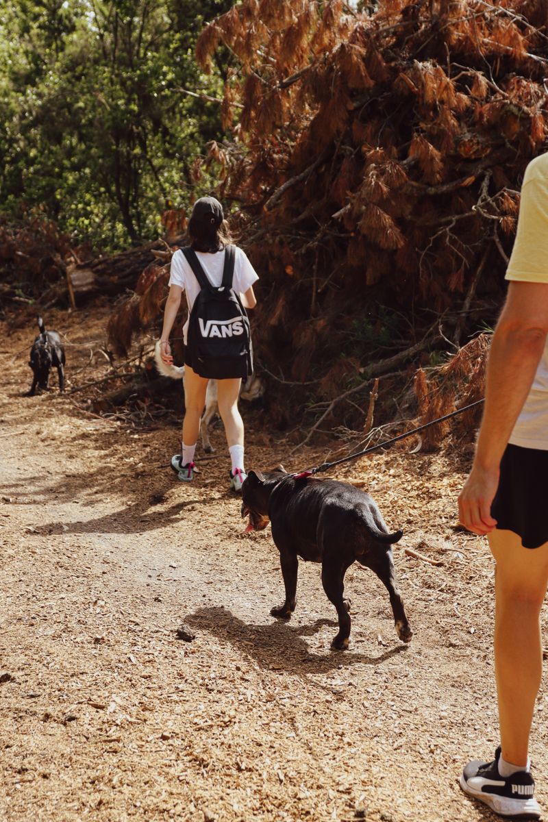 Voluntario de ADEPAC 3