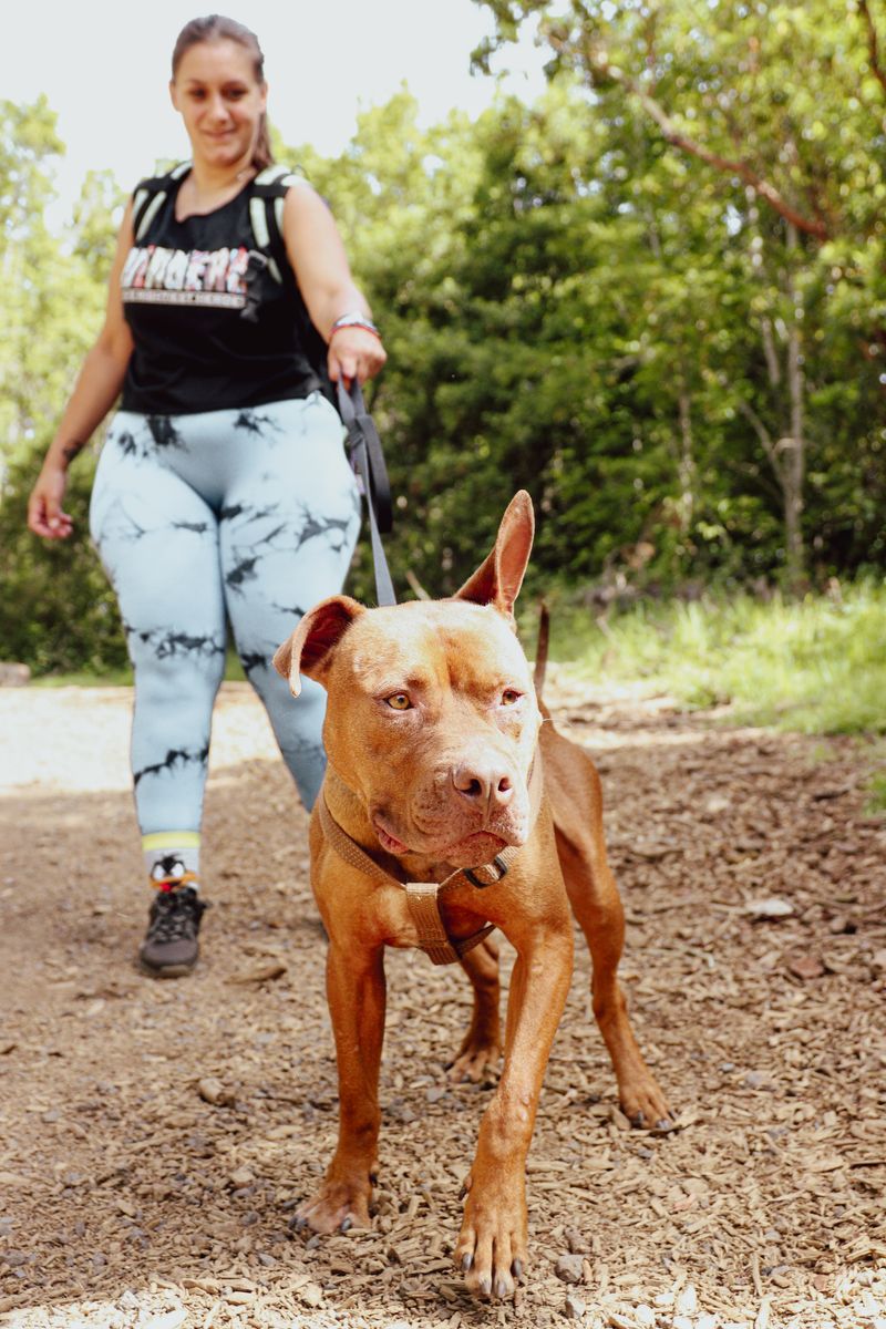 Voluntario de ADEPAC 5