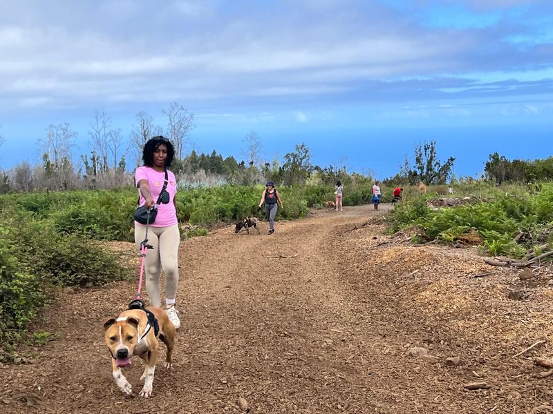 Voluntario de ADEPAC 33