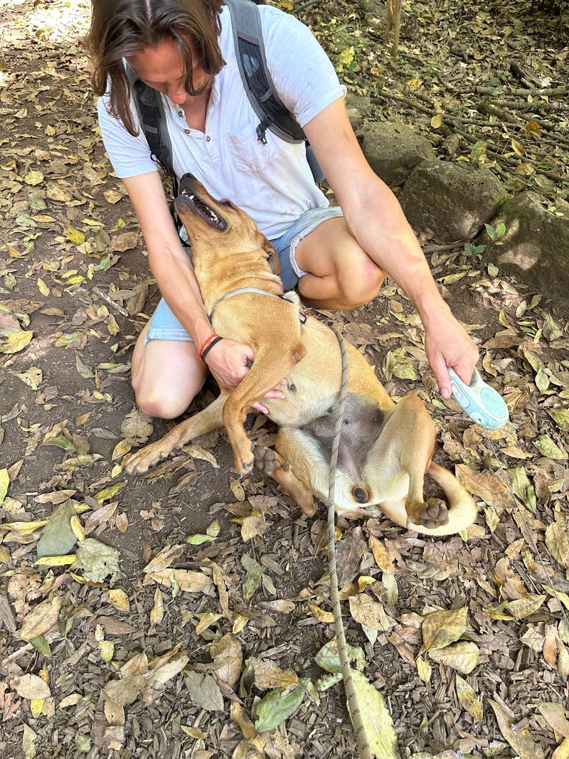 Voluntario de ADEPAC 34